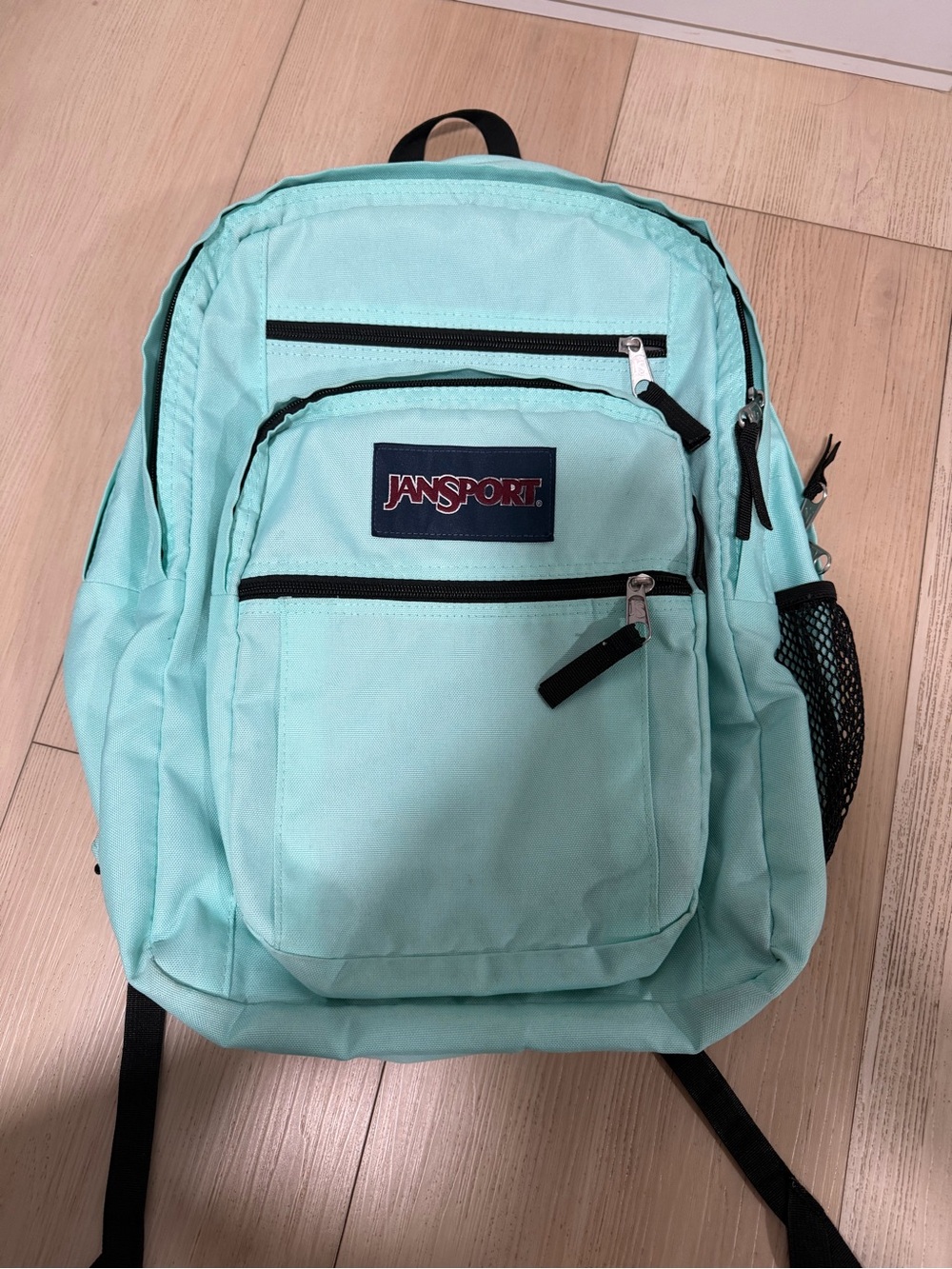 JanSport Backpack in Teal